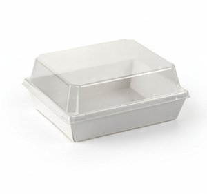 Transparent Cake Slice Pack