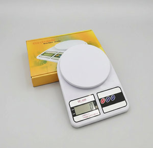 Electronic Plastic scale