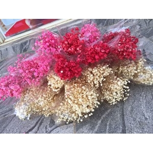 Natural Baby Breath Flowers