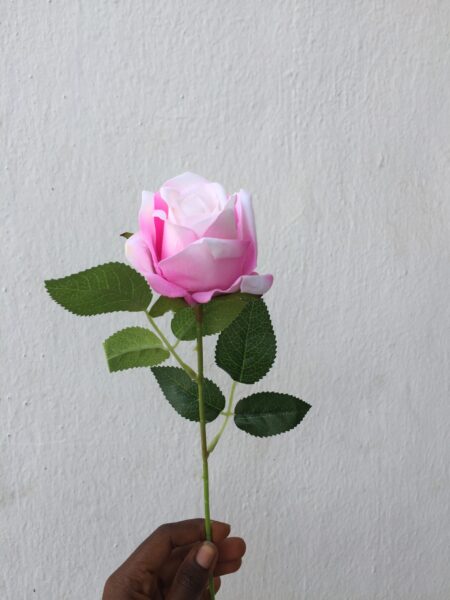 Medium Velvet with Stem